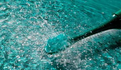 精準護理：電動牙刷如何解決常見口腔問題？